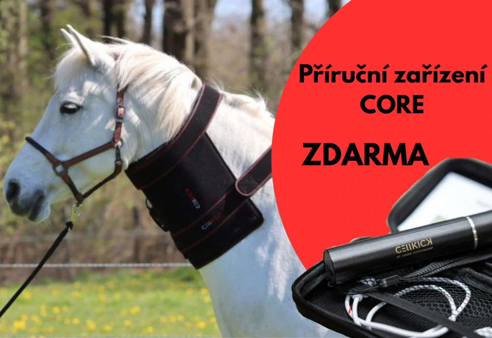 Krční pad a CORE zdarma