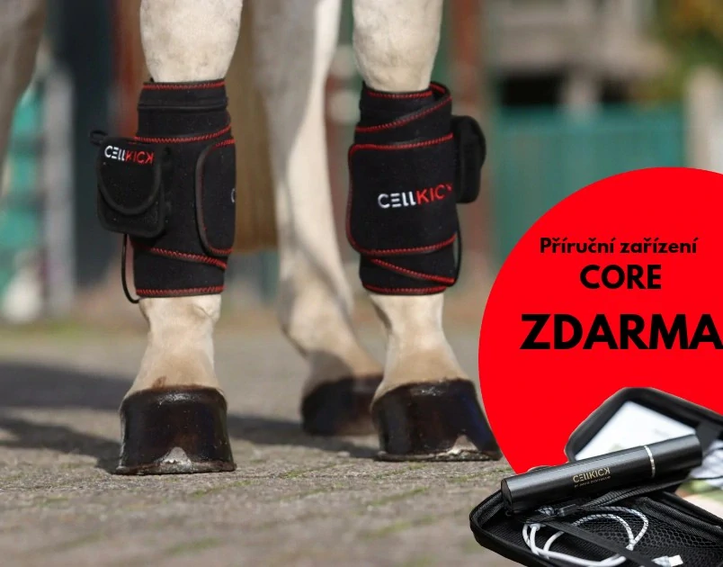 Kamaše Pro Set a CORE zdarma