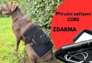 Psí pad a CORE zdarma