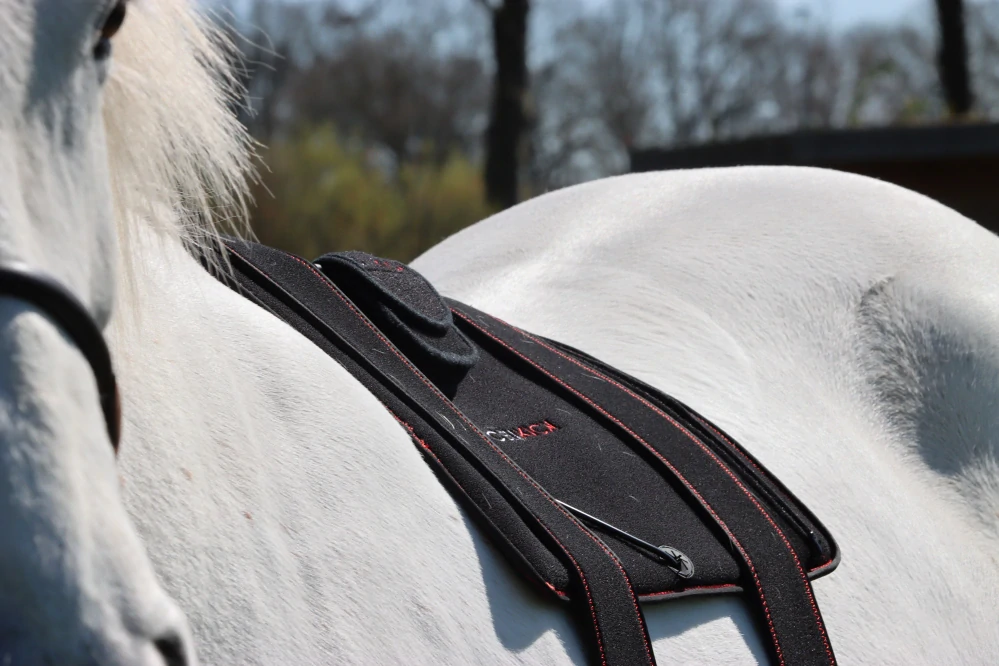 Zádový/Krční pad