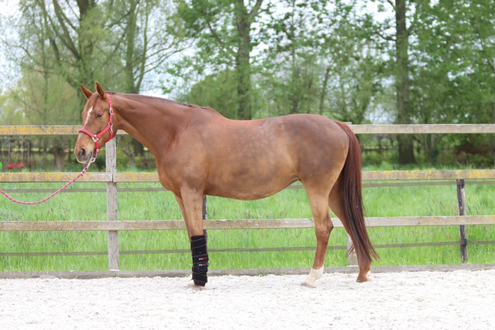 Kombinace Kamaše Ultimate