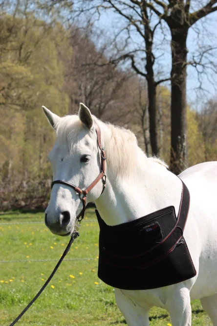 Zádový/Krční pad