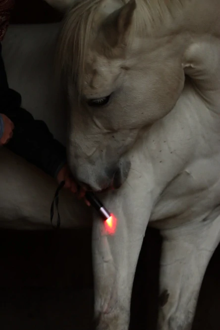 Kombinace Kamaše Ultimate